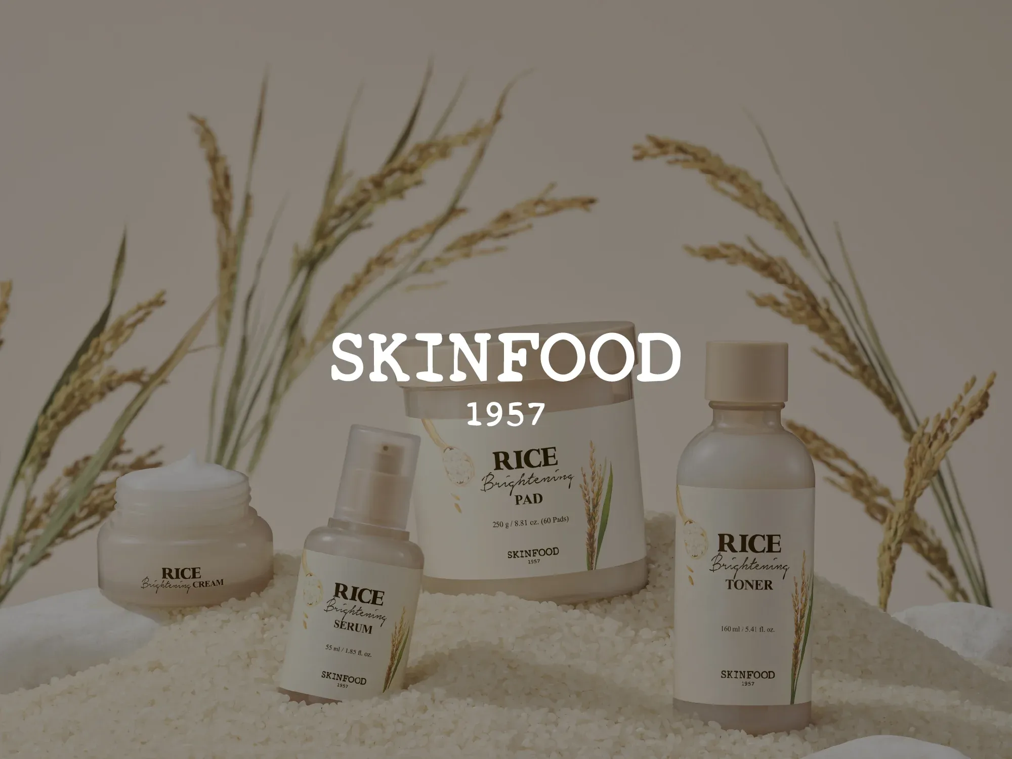 Skinfood — Social Content case study